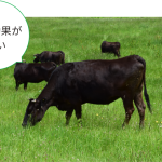 植物性堆肥と動物性堆肥