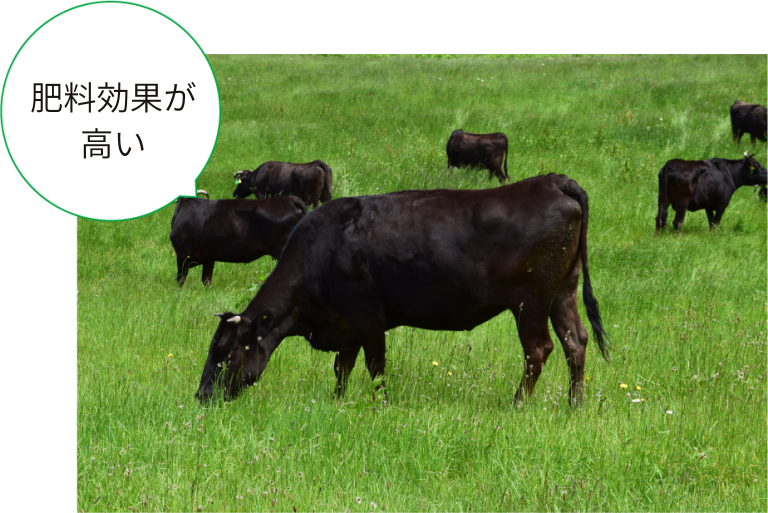 植物性堆肥と動物性堆肥