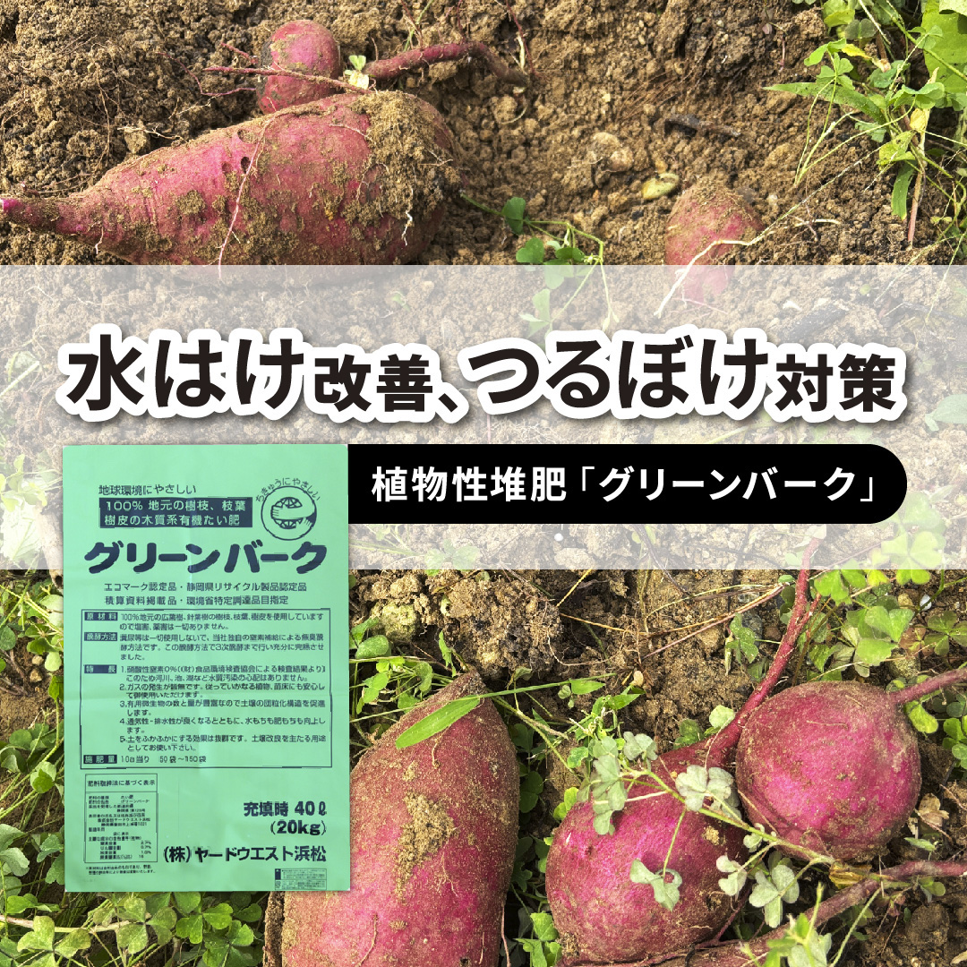 さつまいも　植物性堆肥