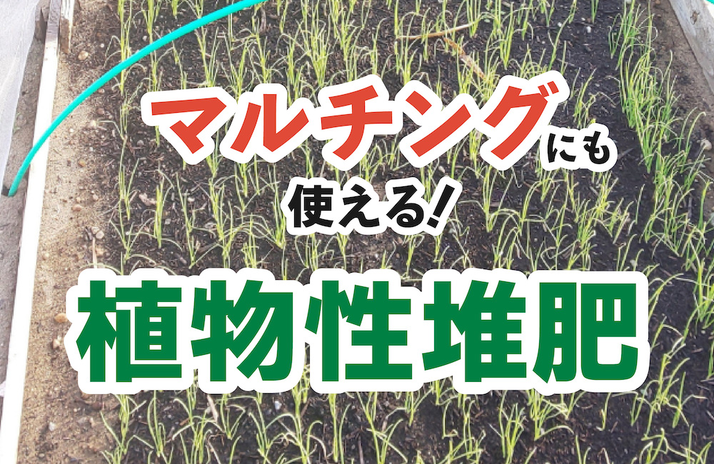 マルチング 堆肥